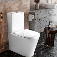 Զուգարանակոնք DMT 39, 370x670x830 մմ (ԿՈԴ 17072)