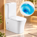 Զուգարանակոնք JASMIN JAS-9712A Tornado, 380x635x850 մմ Սպիտակ (ԿՈԴ 18434) Զուգարանակոնք JASMIN JAS-9712A Tornado, 380x635x850 մմ Սպիտակ (ԿՈԴ 18434)