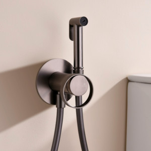 Ներկառուցվող խառնիչ հիգիենիկ ցնցուղով GANZER GZ19157-Q Գրաֆիտ (ԿՈԴ 13382) Ներկառուցվող խառնիչ հիգիենիկ ցնցուղով GANZER GZ19157-Q Գրաֆիտ (ԿՈԴ 13382)