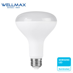 LED լամպ Wellmax REFLECTOR 13W R80 E27 6500K (ԿՈԴ 14718)