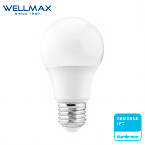 LED լամպ Wellmax MINI E27-5W-3000K G45 (ԿՈԴ 14732)