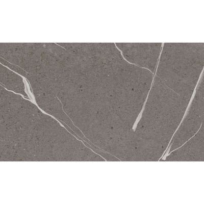 Պատի սալիկ Parla Dark Grey 30x60սմ (Alborz) ds84393 (ԿՈԴ 16848)