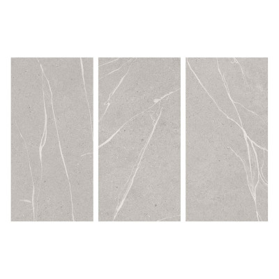 Պատի սալիկ Parla Light Grey 30x60սմ ds84391 (ԿՈԴ 16849)
