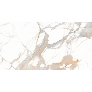 Կերամոգրանիտ Borghini Gold 60x120սմ ds79659 (ԿՈԴ 16873)