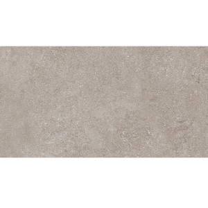 Կերամոգրանիտ Neywest Grey 60x120սմ ds85448 (ԿՈԴ 16874)