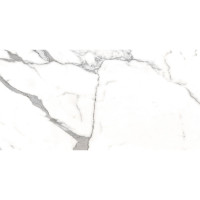  Կերամոգրանիտ PG Prozzo 1124 60x120սմ ds82455 (ԿՈԴ 16883)