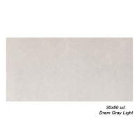 Սալիկ պատի NT 30x60 սմ Dram Gray Light 66713 (ԿՈԴ 14812)