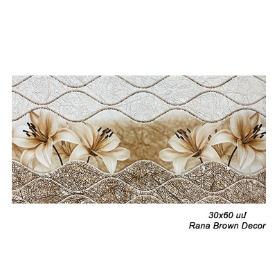 Սալիկ պատի 30x60 Rana Brown Decor 79485 (ԿՈԴ 14898)
