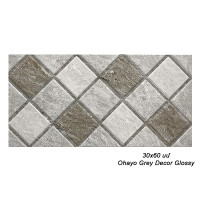 Սալիկ պատի 30x60 սմ Ohayo Grey Decor Glossy 90946 (ԿՈԴ 14903)