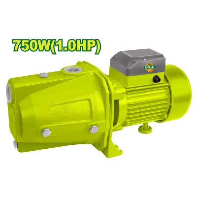 Ջրի պոմպ DYLLU DTWPJA03 750Վտ (ԿՈԴ 15832)