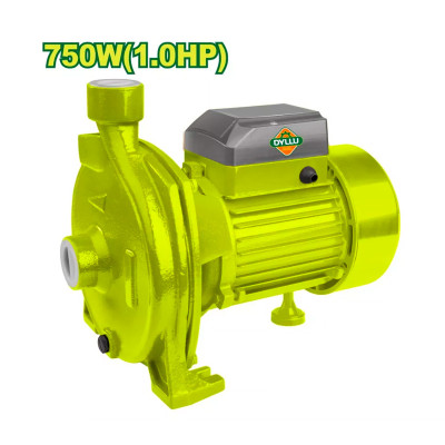 Ջրի պոմպ DYLLU DTWPCA03 750Վտ (ԿՈԴ 15833)