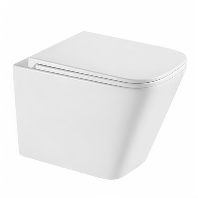 Զուգարանակոնք ներկառուցվող Letop LT-003D-R Rimless, 360x600x420 մմ Սպիտակ (ԿՈԴ 14553)