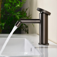 Ծորակ բիդեյի համար GANZER GZ19151-Q Գրաֆիտ (ԿՈԴ 15226)