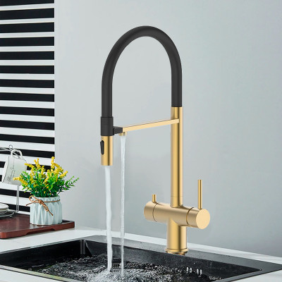 Խոհանոցի ծորակ ճկվող, ֆիլտրով VIEIR V15019-S Մատվի ոսկի (ԿՈԴ 12509) Խոհանոցի ծորակ ճկվող, ֆիլտրով VIEIR V15019-S Մատվի ոսկի (ԿՈԴ 12509)